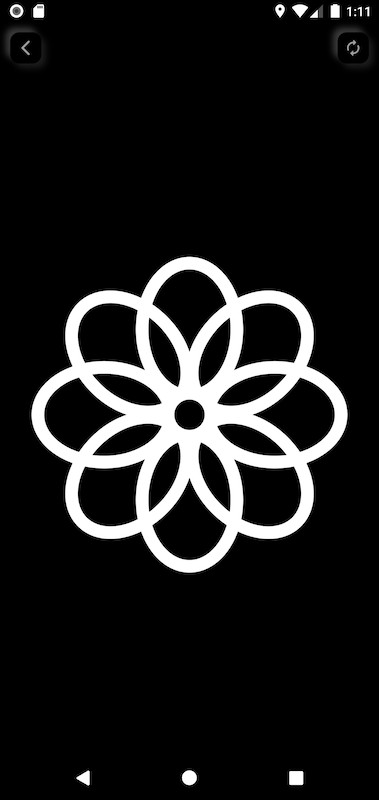 黑白视觉卡官方版截图1