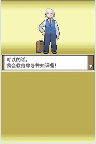 口袋妖怪白金手机版截图2