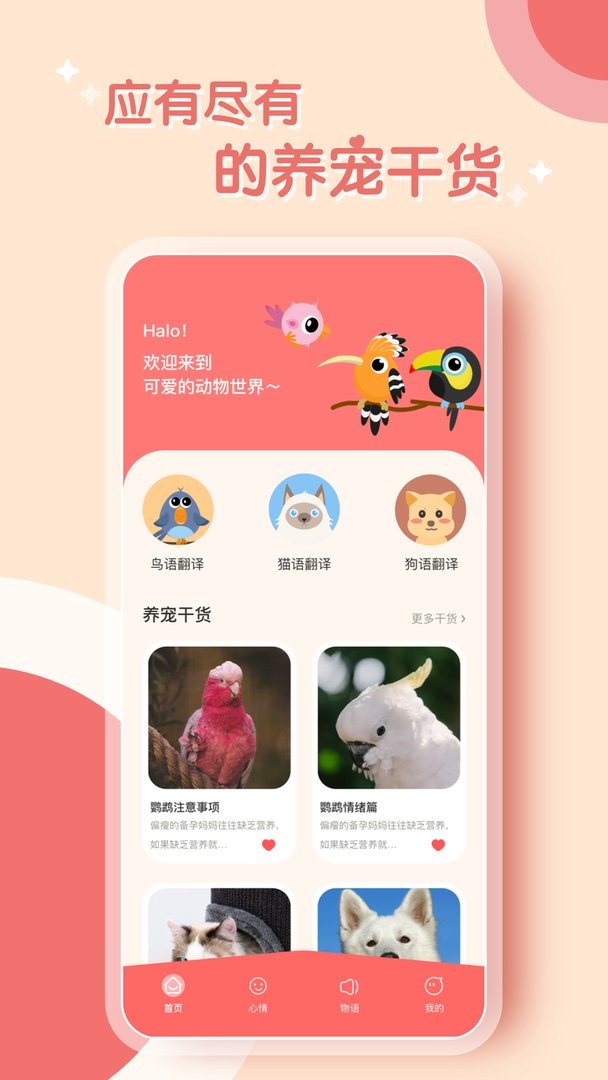 鹦鹉翻译器app截图1