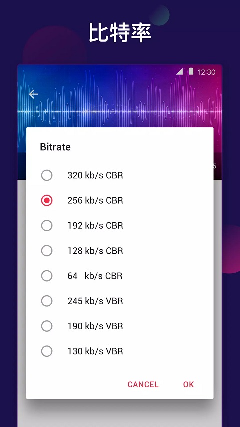 video to mp3(视频音频转换器)截图2