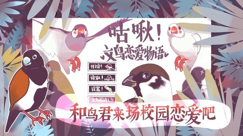 文鸟恋爱物语游戏
