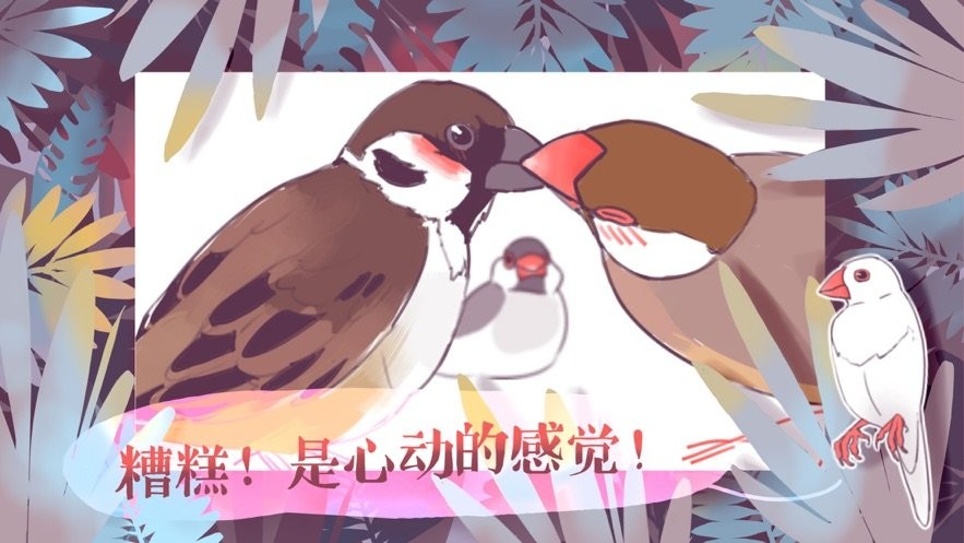 咕啾文鸟恋爱物语手游截图2