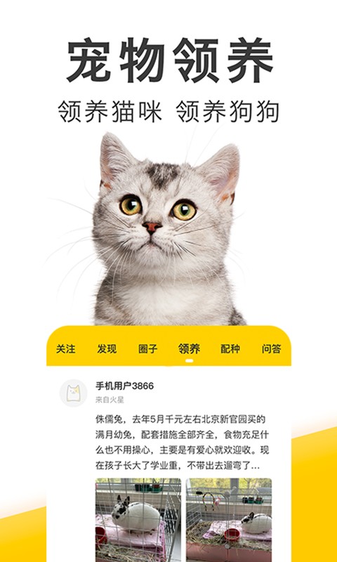 有只宠物手机版截图1
