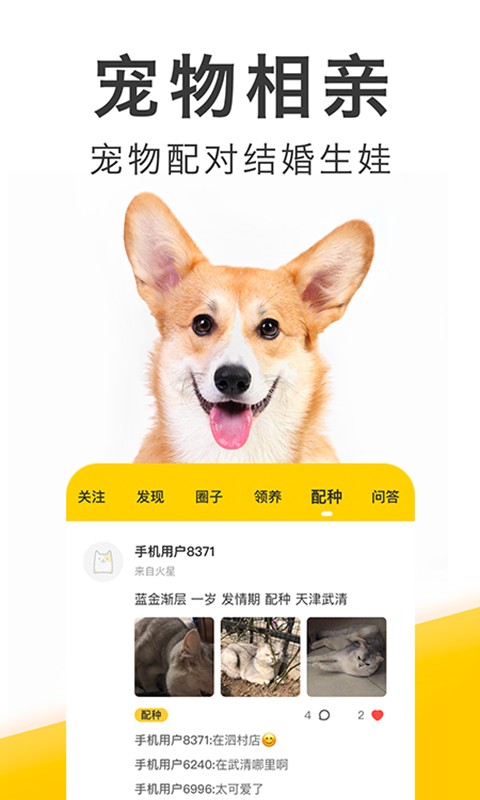 有只宠物手机版截图3