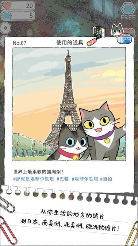 猫友圈猫咪的旅行最新版截图1
