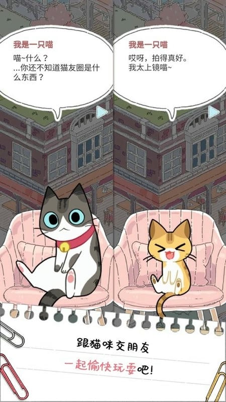 猫友圈猫咪的旅行最新版截图3