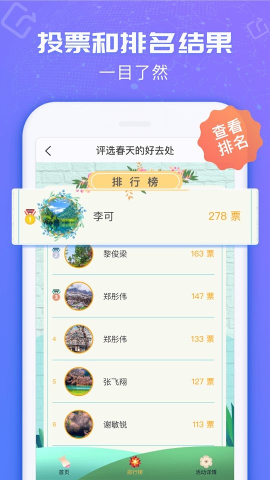 投票易软件截图3