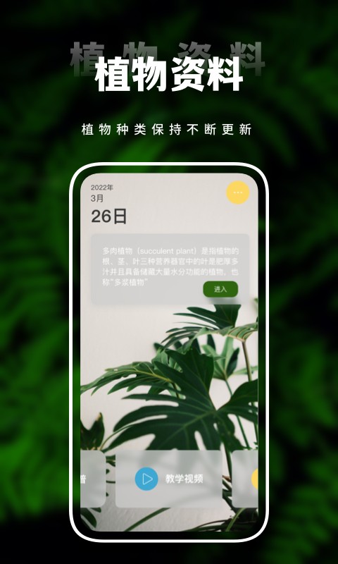 害羞草生活视频软件下载