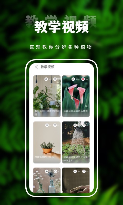 害羞草生活视频手机版截图1