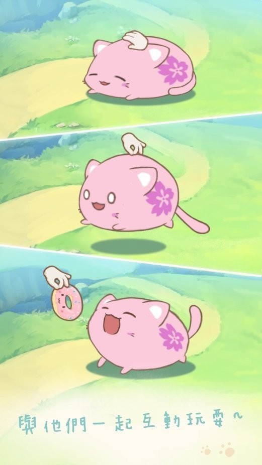 麻薯猫收藏正版