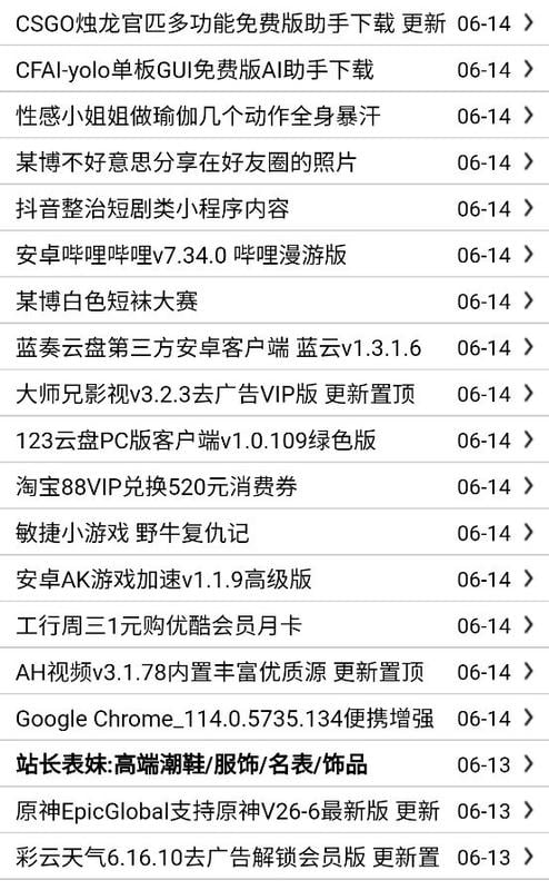 我爱辅助网手机版截图2