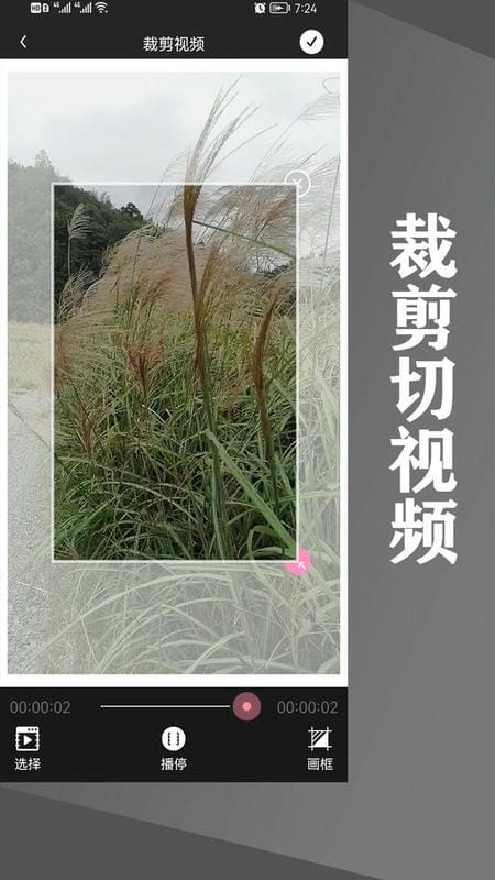 水印王免费版截图3
