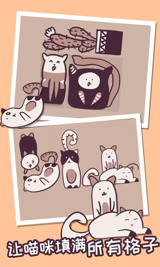 井然有猫游戏截图2