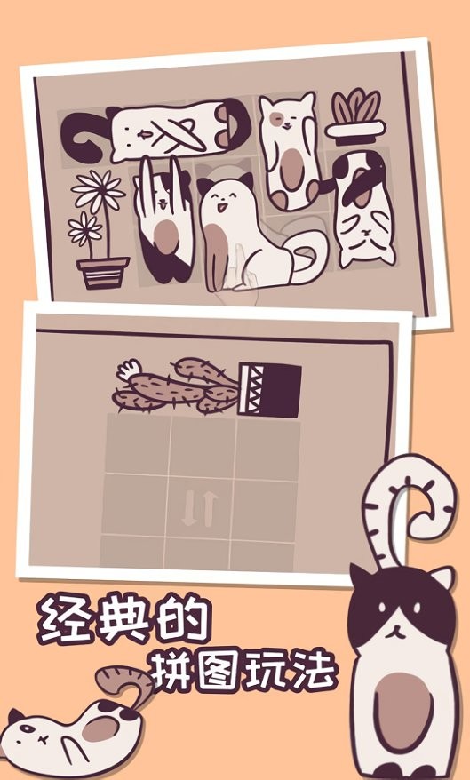 井然有猫游戏截图3