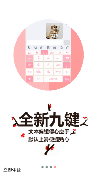 wi输入法官方安卓版截图4