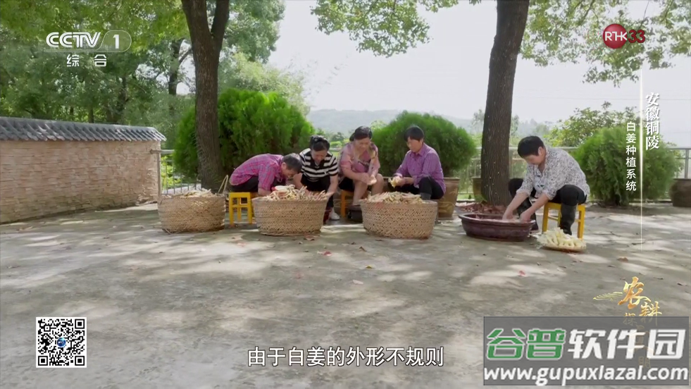 电视直播TV版截图3