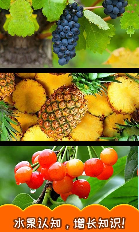 宝宝切水果最新版本截图2