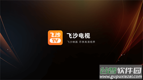 飞沙电视tv版截图4