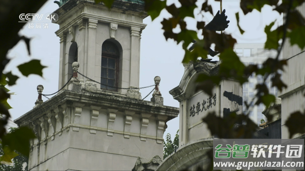 New直播tv版截图4