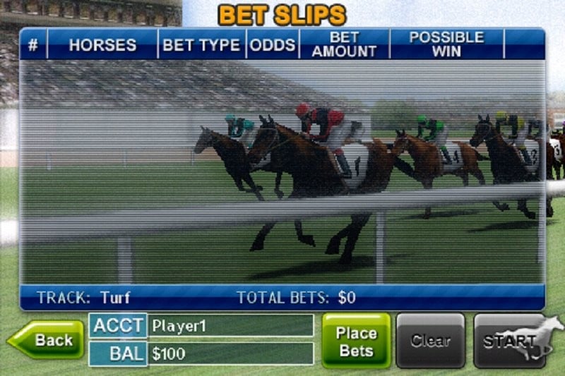 3d赛马手游(Virtual Horse Racing 3D)截图1