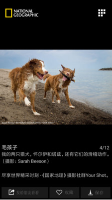 国家地理app免费版截图1
