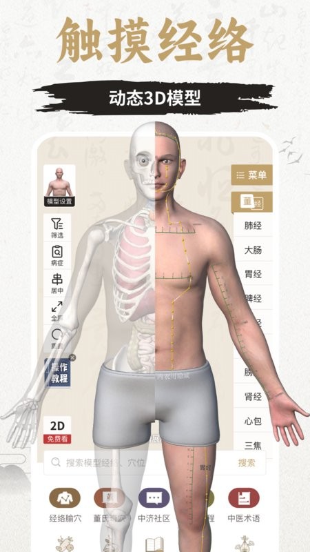 知源经络穴位最新版截图1