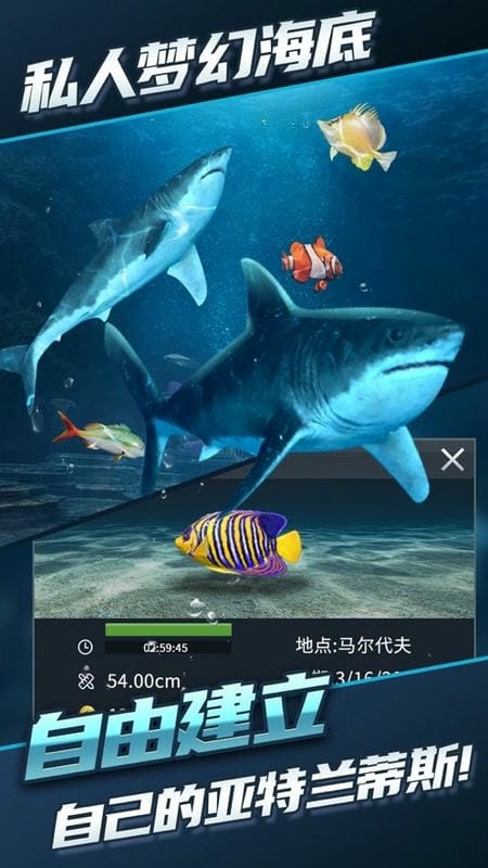 钓鱼达人游戏截图1