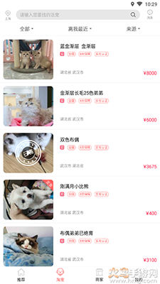 淘宠网app宠物猫狗交易平台截图3