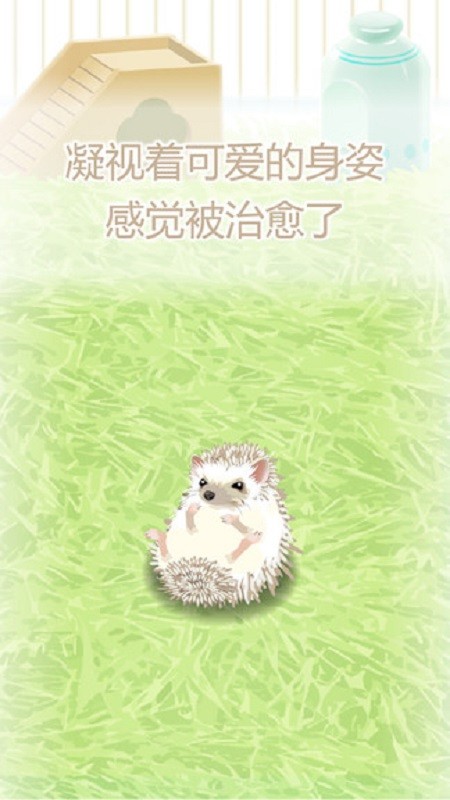 治愈的猬育成游戏手机版截图3