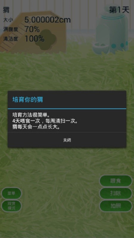 治愈的猬育成游戏手机版截图4