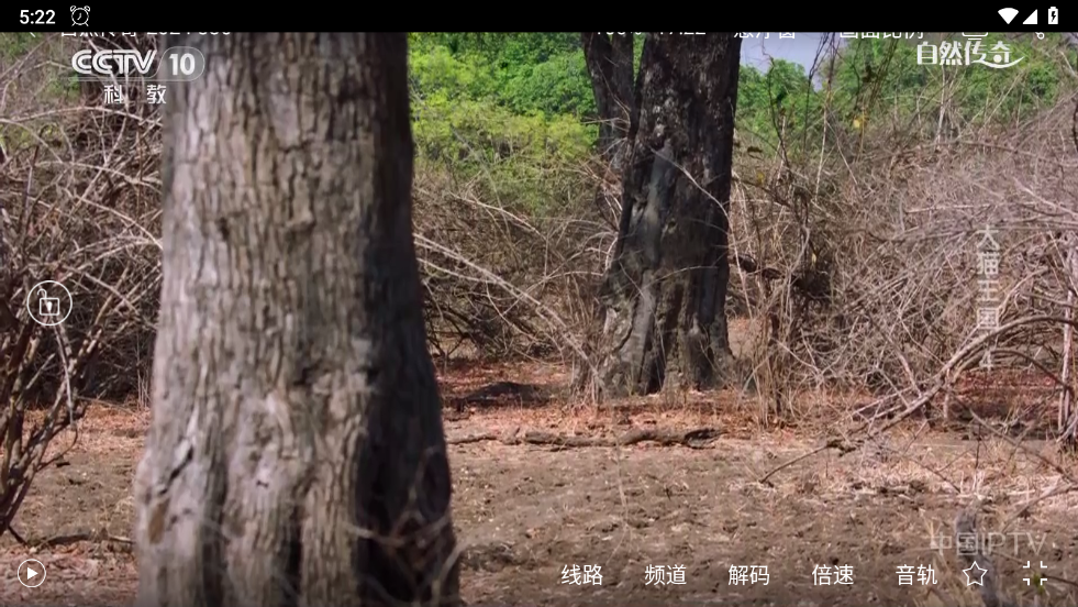 悠兔电视tv官方版截图4