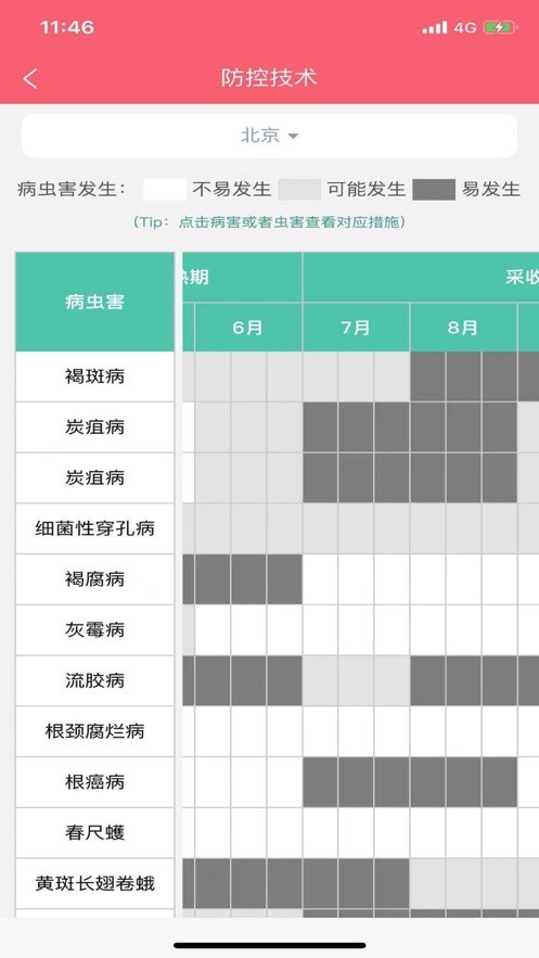 樱桃医生最新版截图1