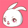 兔玩社交appv1.2.41