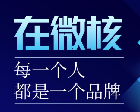 微核app