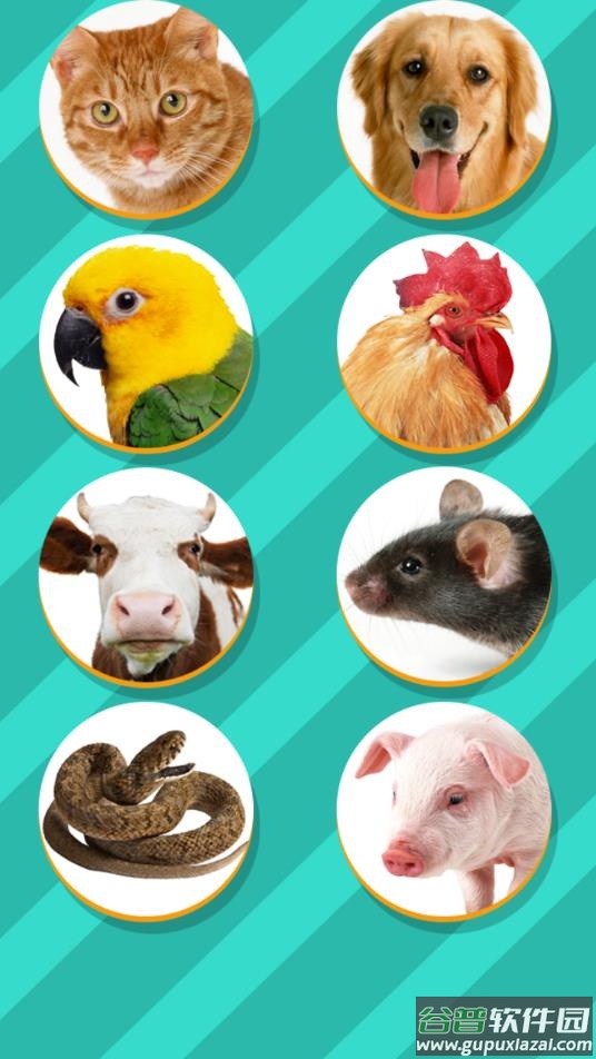 鸟语翻译器app最新版下载(Pet Translator)截图2