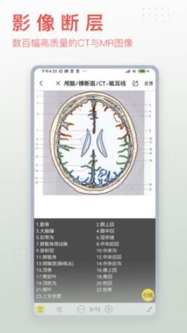 3Dbody解剖app