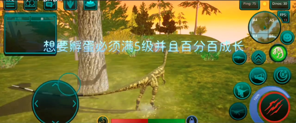 诅咒之岛破解版2025年最新版