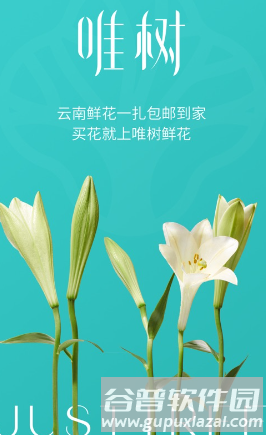 唯树鲜花app