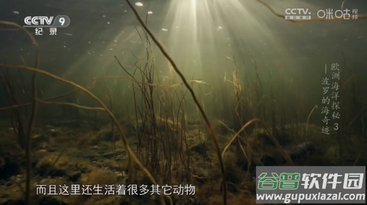 OK芸影视tv版截图4