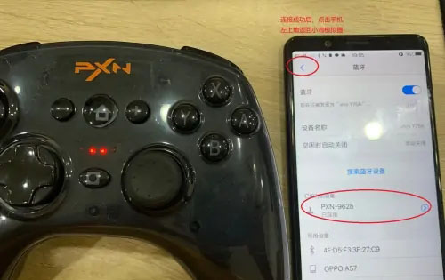 小鸡模拟器2025最新版
