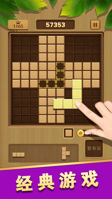 俄罗斯经典方块手机版截图2