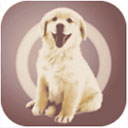 人狗交流器appv2.0.3
