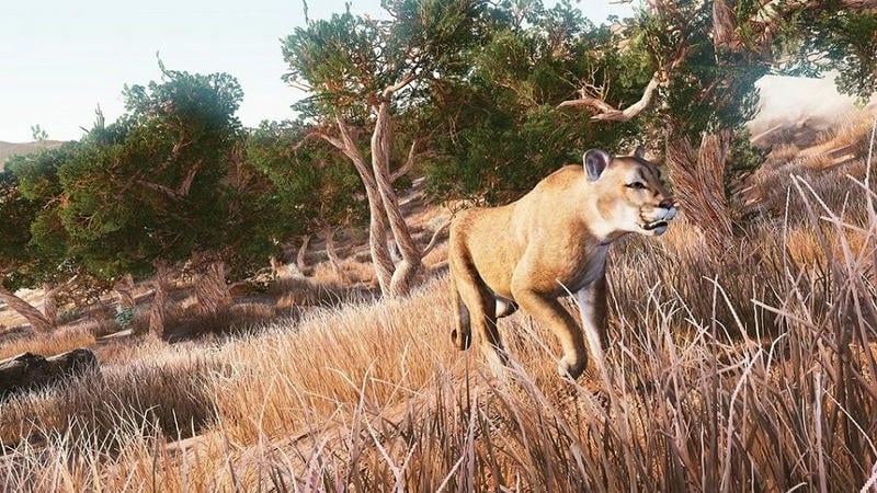 3d丛林狩猎手机版截图3