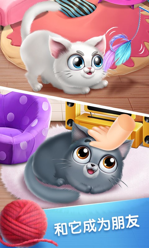 口袋猫咪手机版截图2
