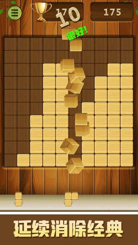 天天俄罗斯方块游戏截图3