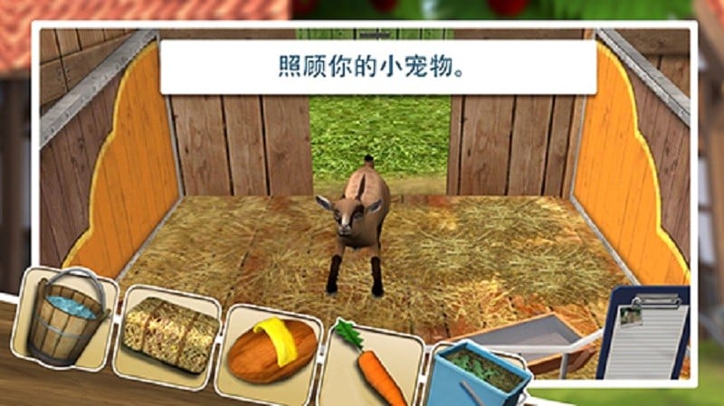 宠物世界3d所有动物全解锁版(PetWorld)截图4