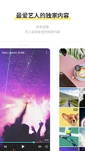 lysn app截图3