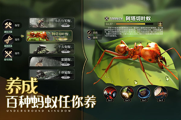 小小蚁国37手游截图1