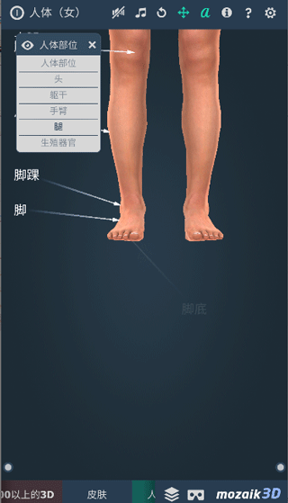 Humanbody软件截图3