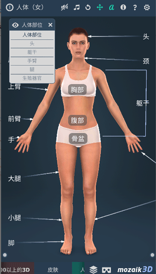 Humanbody软件截图4
